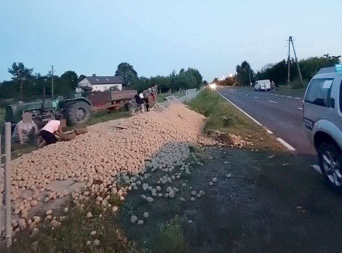rozsypane ziemniaki na drodze wojewódzkiej nr 816 w Szumince
