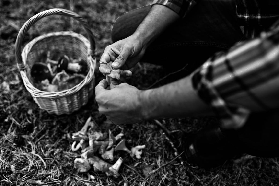 Gm. Włodawa. Zgubił się w lesie podczas grzybobrania. 53-latka poszukiwali policjanci