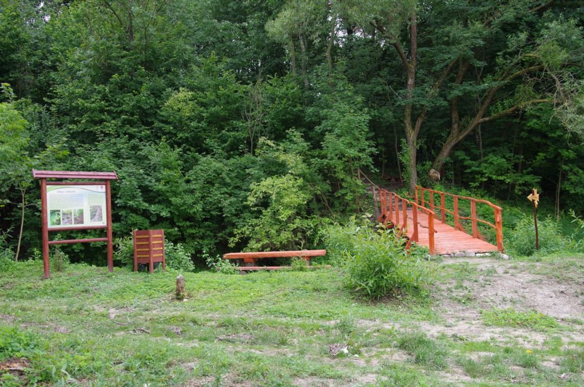 Gm. Wojsławice. Cenią sobie współpracę z nadleśnictwem. Wspólnie mogą dokonać jeszcze wiele dobrego