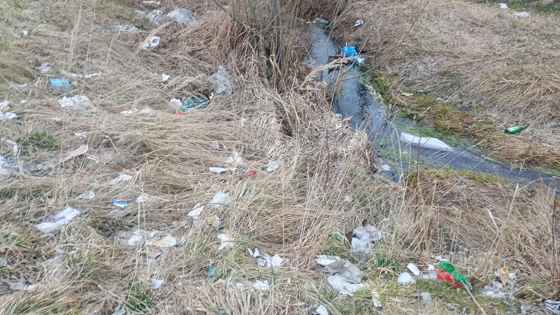 Na stan terenu położonego w bezpośrednim sąsiedztwie wielkopowierzchniowego sklepu i lokalnego, gminnego targowiska zwrócił nam uwagę jeden z naszych Czytelników. – To taki gminny śmietnik. Kiepsko to wygląda w kontekście toczącej się kampanii wyborczej – zauważył.