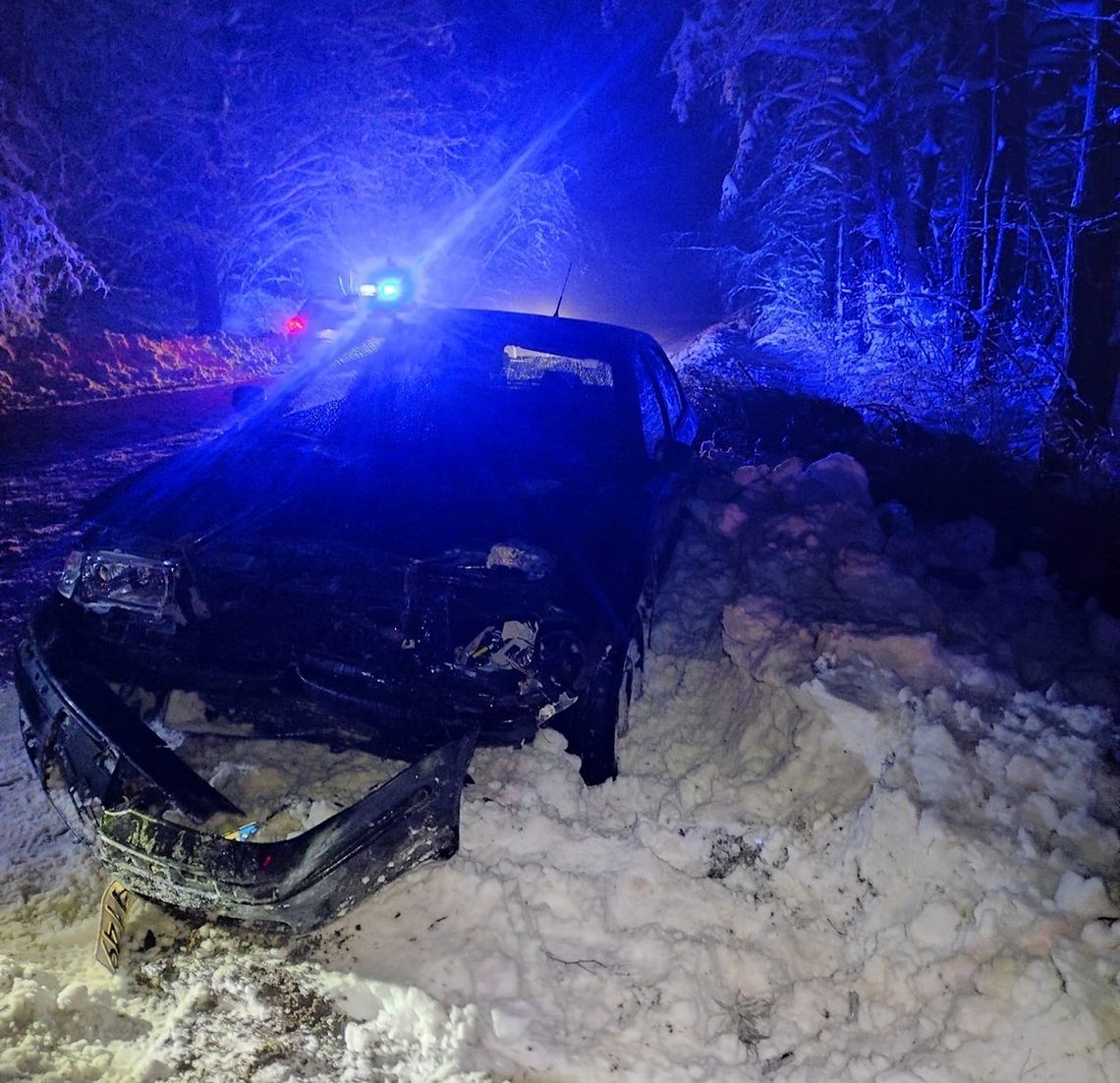 Gm. Wojsławice. Na auto upadło drzewo. Mogło dojść do tragedii…