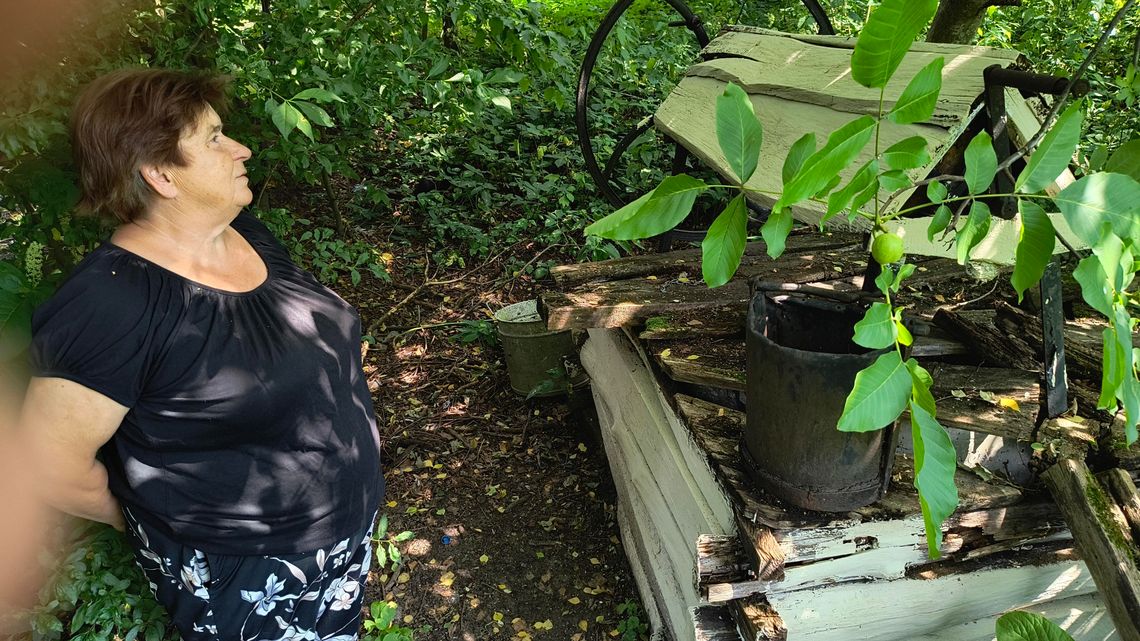 Gm. Wojsławice. Jak Teresa Szwarc z pomocnikami zaczarowała polanę w Majdanie Ostrowskim... [GALERIA ZDJĘĆ]