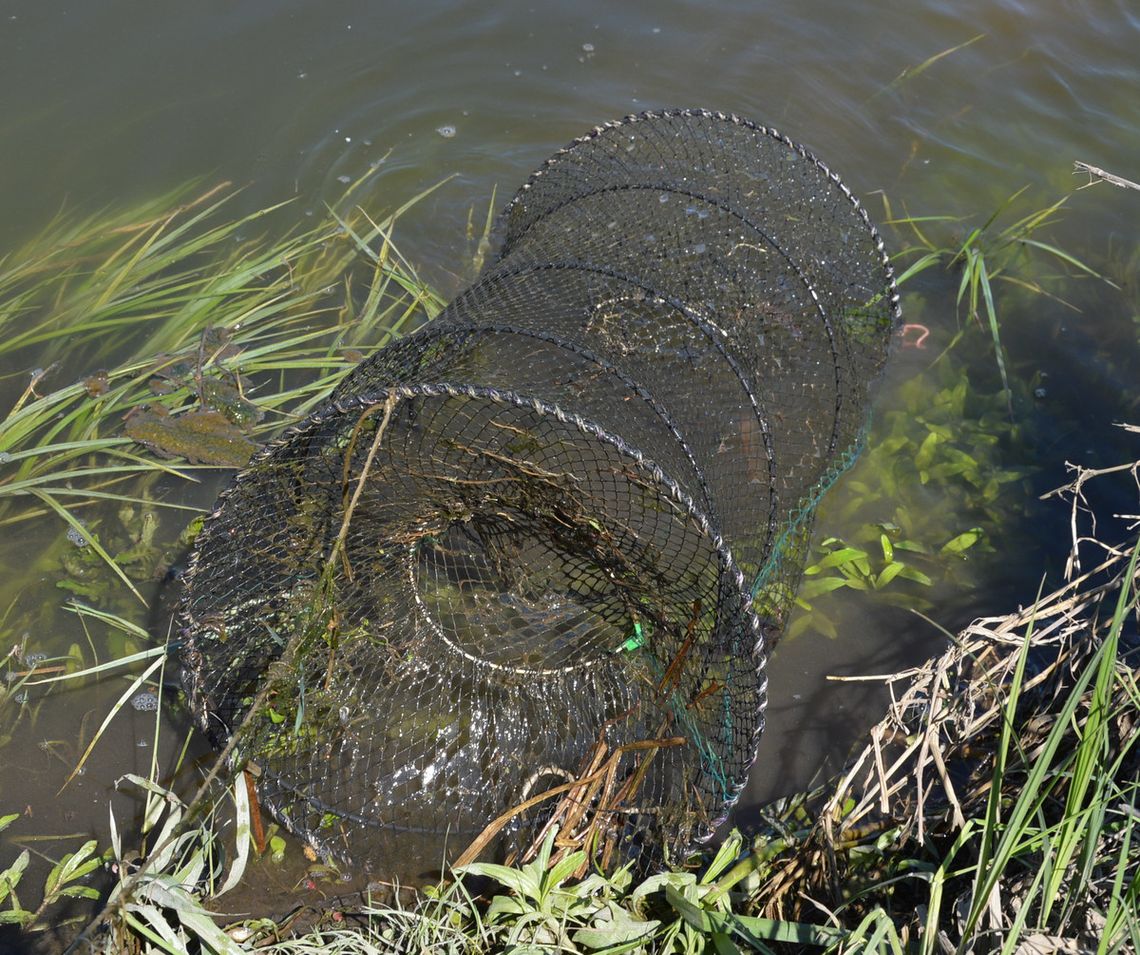 Gm. Wyryki. 66-latek wpadł na gorącym uczynku. Miał przy sobie ryby i więcierze