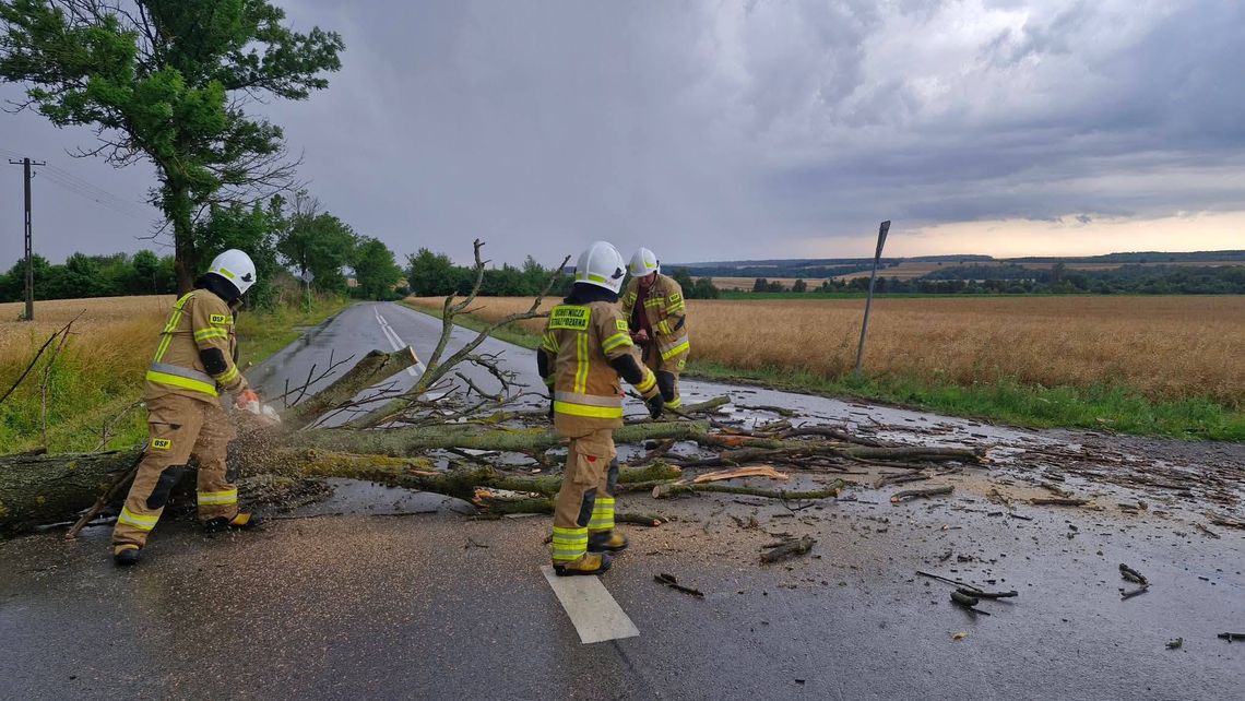 Gm. Żółkiewka. Burza dała o sobie znać. Strażacy usuwali powalone drzewa Gm. Żółkiewka. Burza dała o sobie znać. Strażacy usuwali powalone drzewa