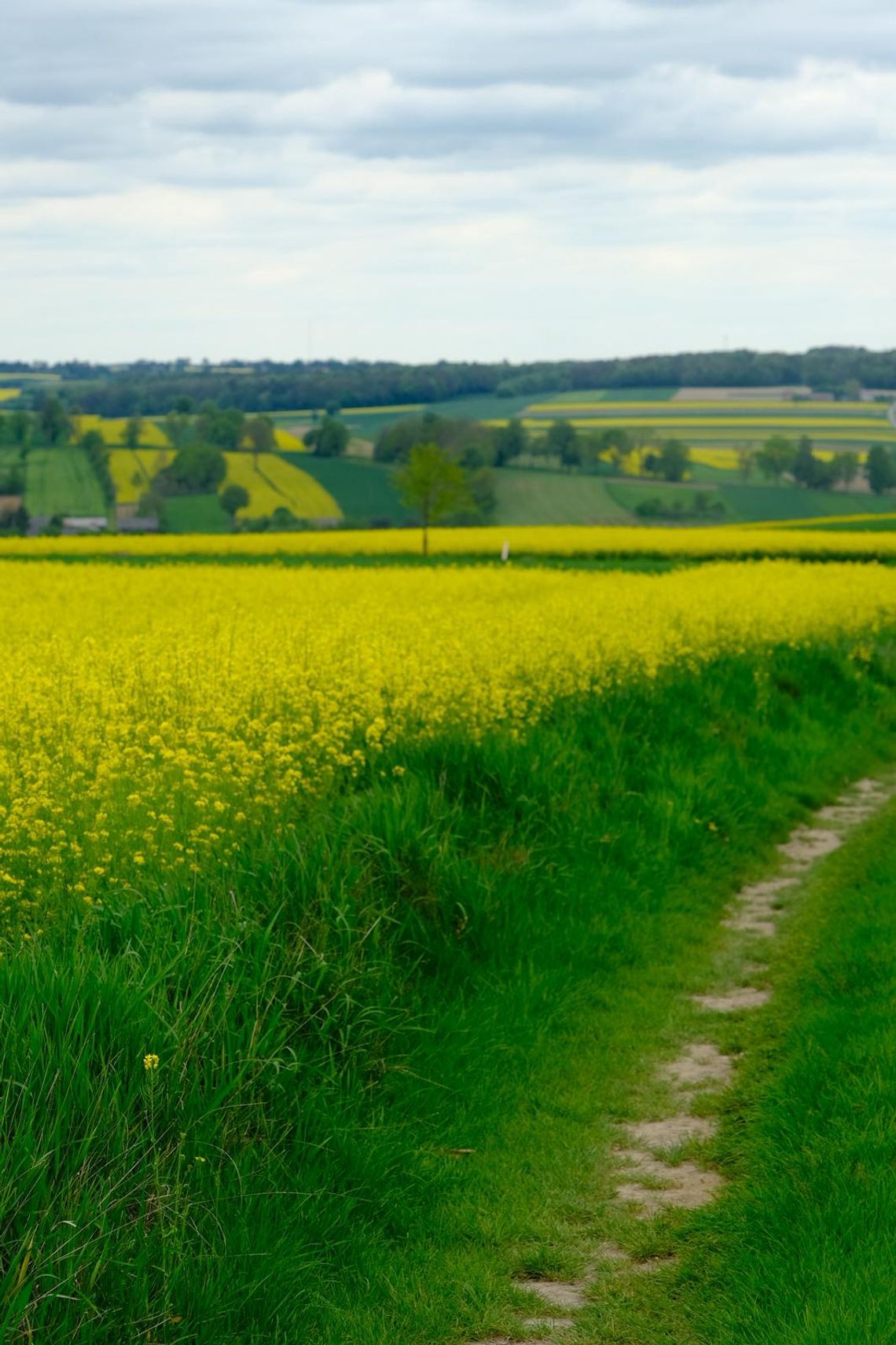 Gm. Żółkiewka. Czy walka o czyste powietrze już się zakończyła?
