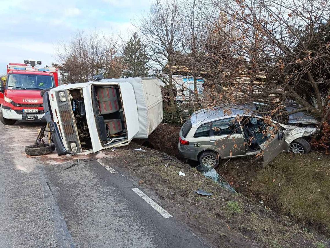 Lubelskie. Fiat na drzewie, lublin na boku, a kierowcy w szpitalach [ZDJĘCIA]