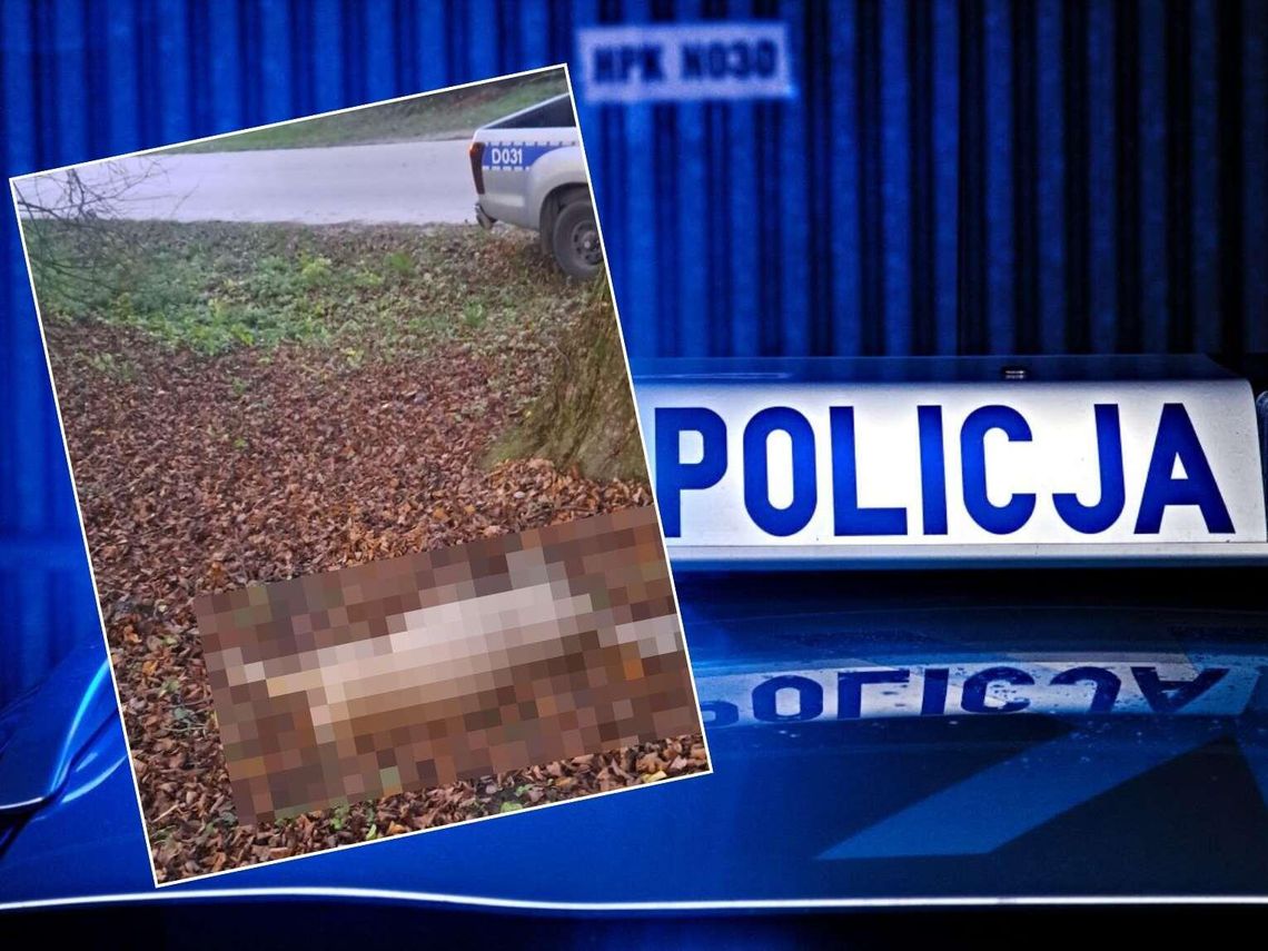 Szedł ulicą z martwą sarną na plecach. 60-latek stanie przed sądem