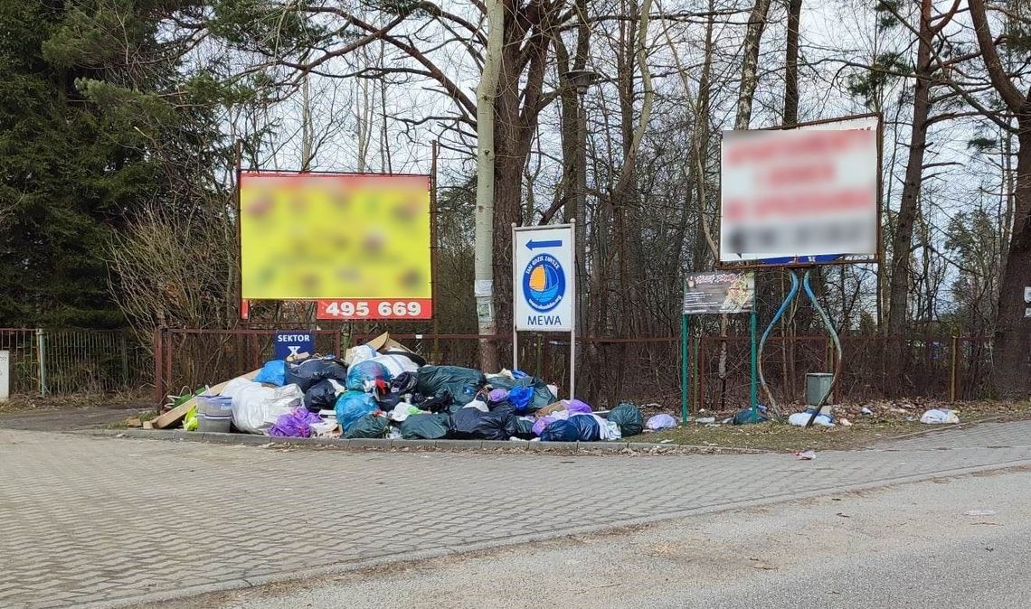 Gmina Włodawa. Sterty śmieci w Okunince. Problem dzikich wysypisk powraca co roku