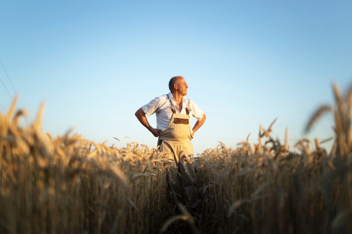 Gm. Kamień. Gminne Święto Plonów w Czerniejowie