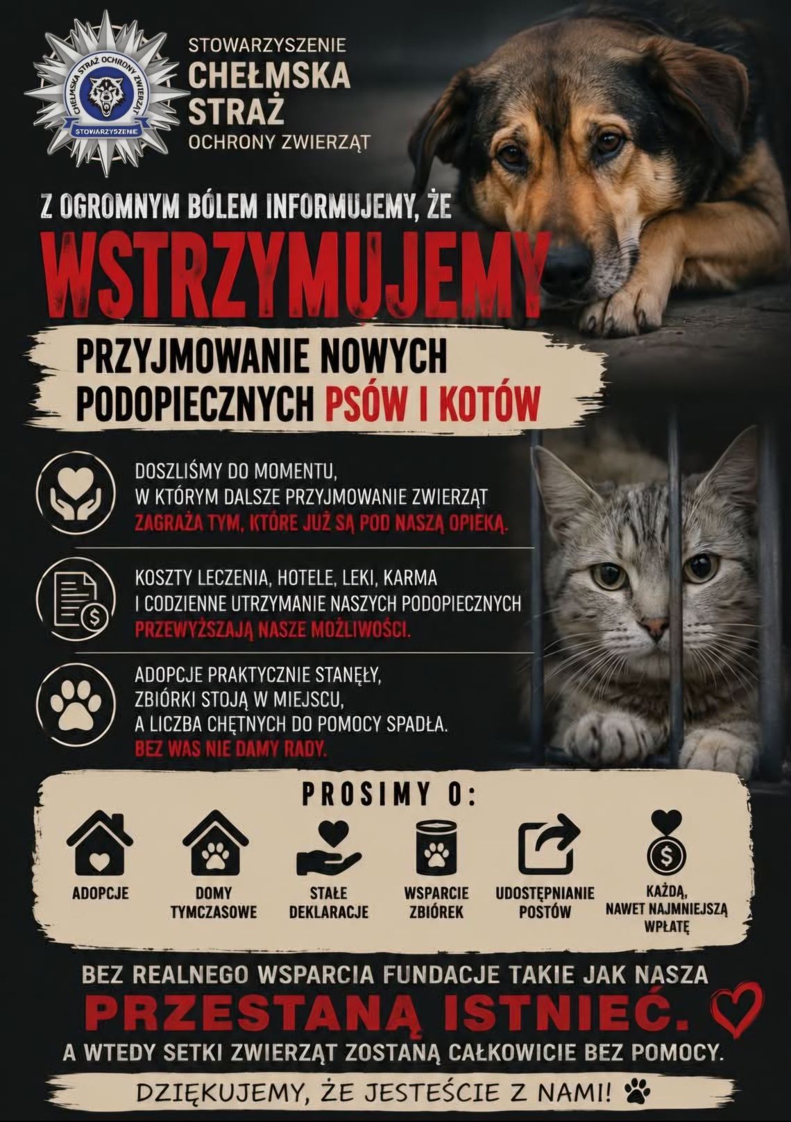 Chełmskie stowarzyszenie wstrzymuje przyjmowanie zwierząt. W dramatycznym apelu podaje powód! Chełmskie stowarzyszenie wstrzymuje przyjmowanie zwierząt. W dramatycznym apelu podaje powód!