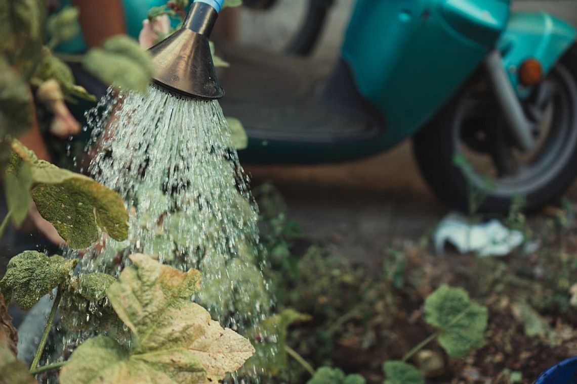 Gromadzenie deszczówki w myśl zasady zero waste! Sprawdź, dlaczego warto