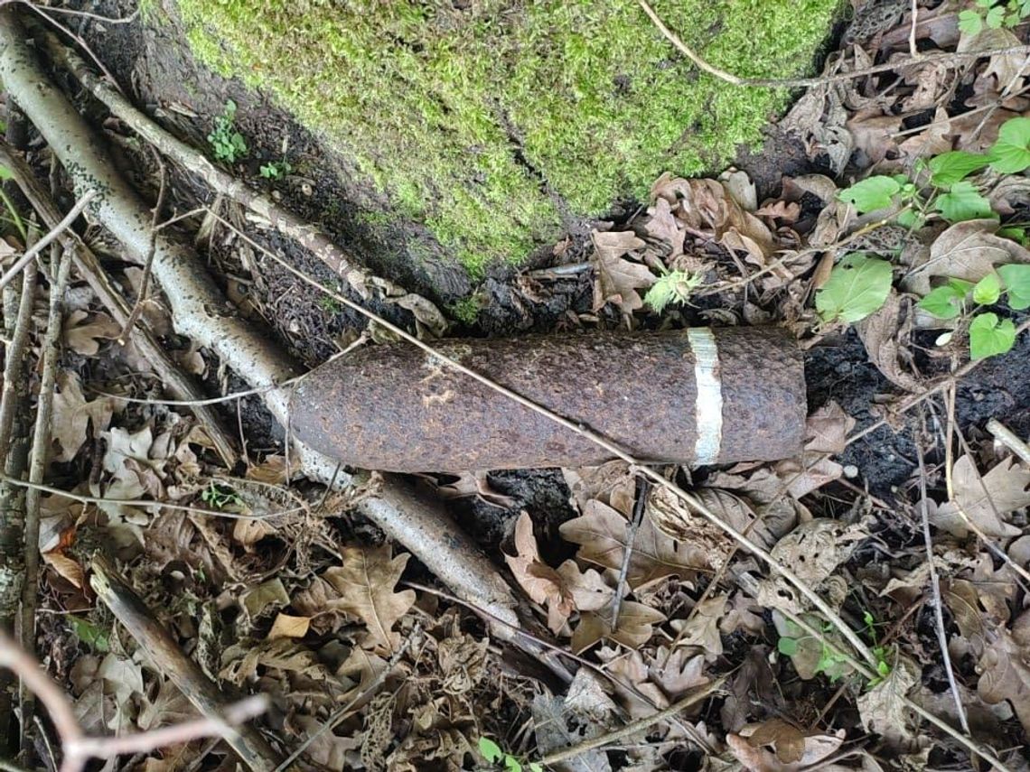 Groźne znalezisko w lesie. Leśniczy natknął się na niewybuch z czasów II wojny światowej