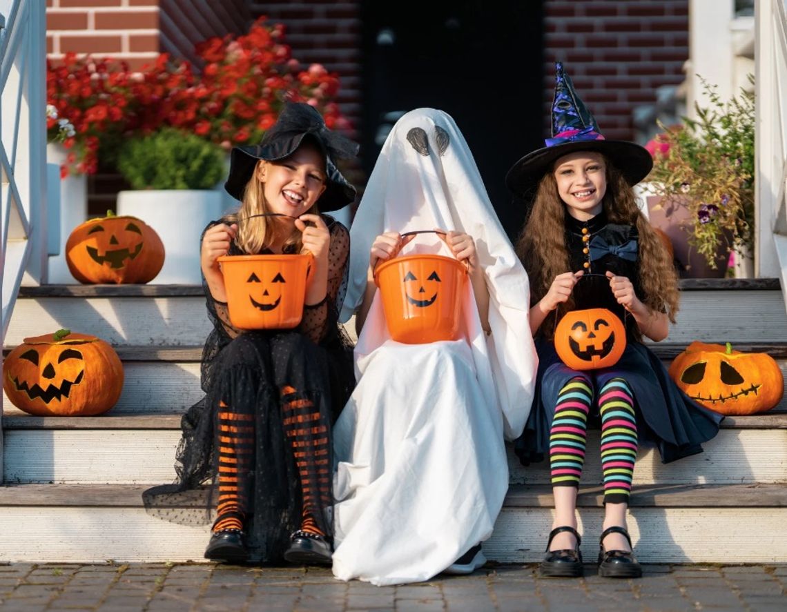 Halloween 2026. Skąd wzięło się święto duchów i ile kosztuje? Halloween 2026. Skąd wzięło się święto duchów i ile kosztuje?