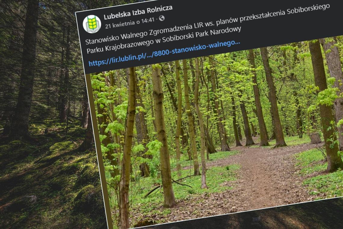 Izba Rolnicza przeciwko tworzeniu parku narodowego w Sobiborze bez konsultacji