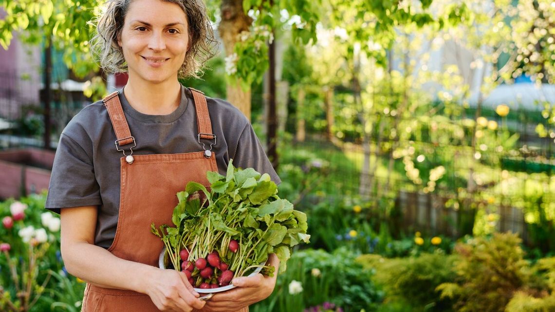 Pierwsze polskie rzodkiewki już w sprzedaży. Sprawdzamy ceny w Chełmie