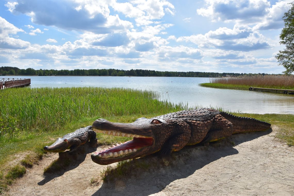 Jest odpowiedź na petycję przedsiębiorców z Okuninki. Wójt przedstawia plany i zaprasza do dialogu dwa krokodyle w okunince nad jeziorem białym
