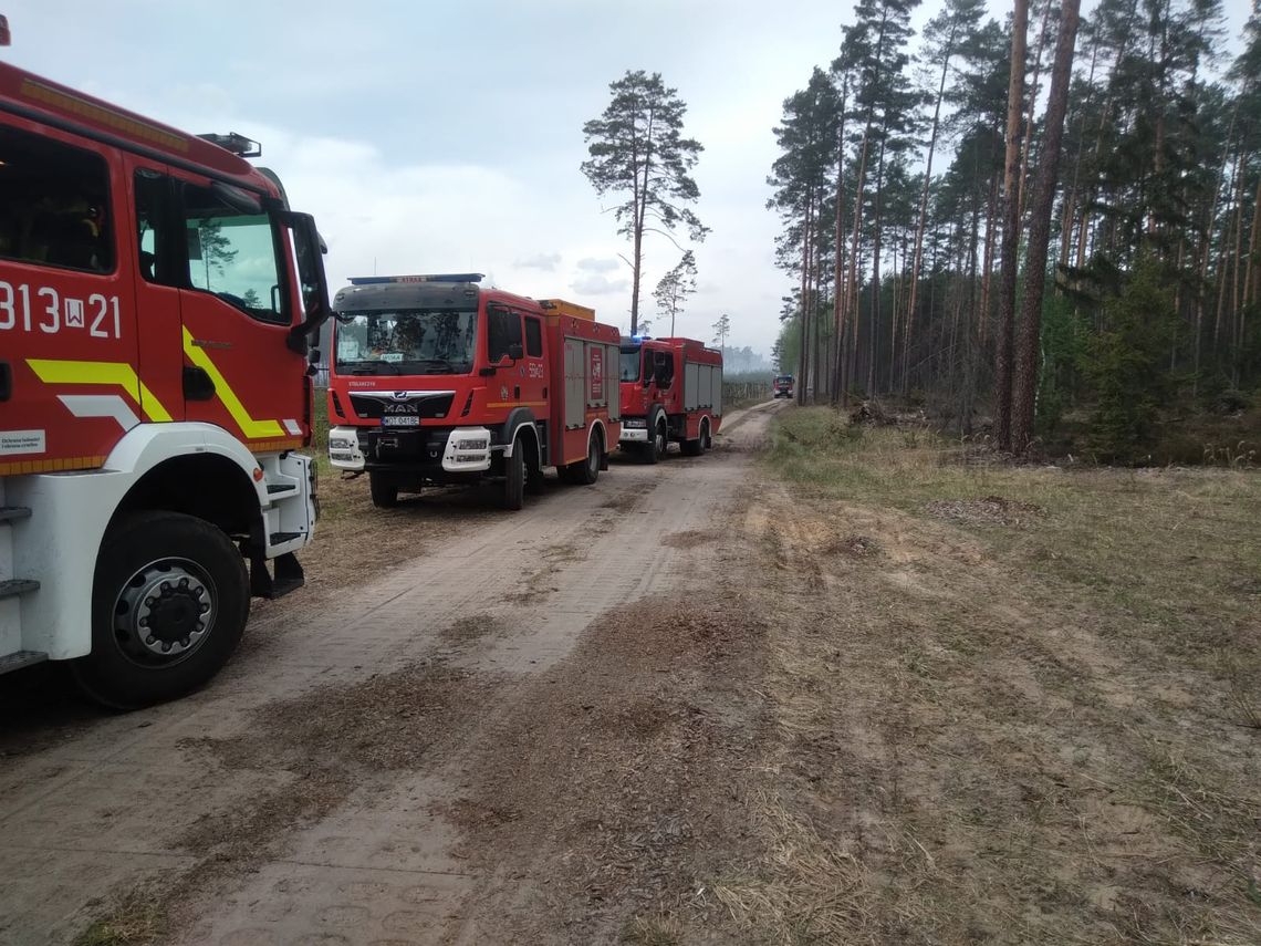 Kiedy do opinii publicznej zaczęły napływać pierwsze niepokojące komunikaty z terenu powiatu biłgorajskiego, a na ekranach telewizorów pojawiły się spowite gęstymi kłębami dymu korony drzew, wiedzieli, że mogą być potrzebni. Bez zbędnych słów pożegnali się ze swoimi bliskimi.