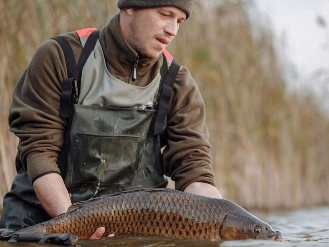 Karp w odwrocie? Zastępują go inne ryby. Co dziś lubią Polacy?