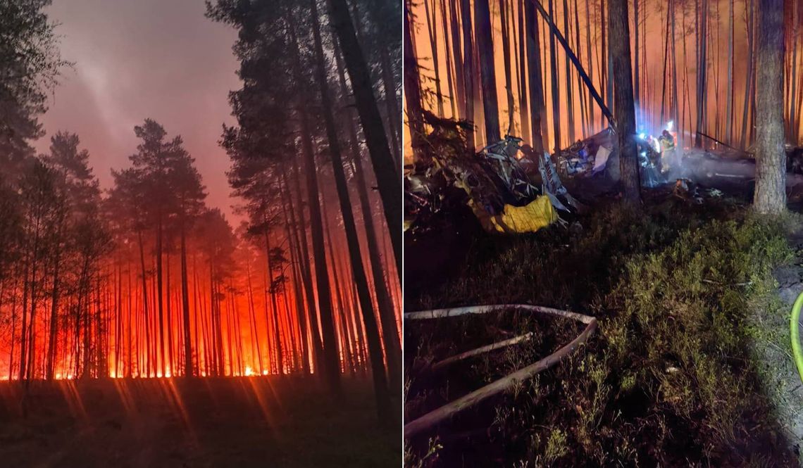 Katastrofa lotnicza podczas gaszenia lasu! Rozbił się samolot gaśniczy. Zginął pilot [FILM]