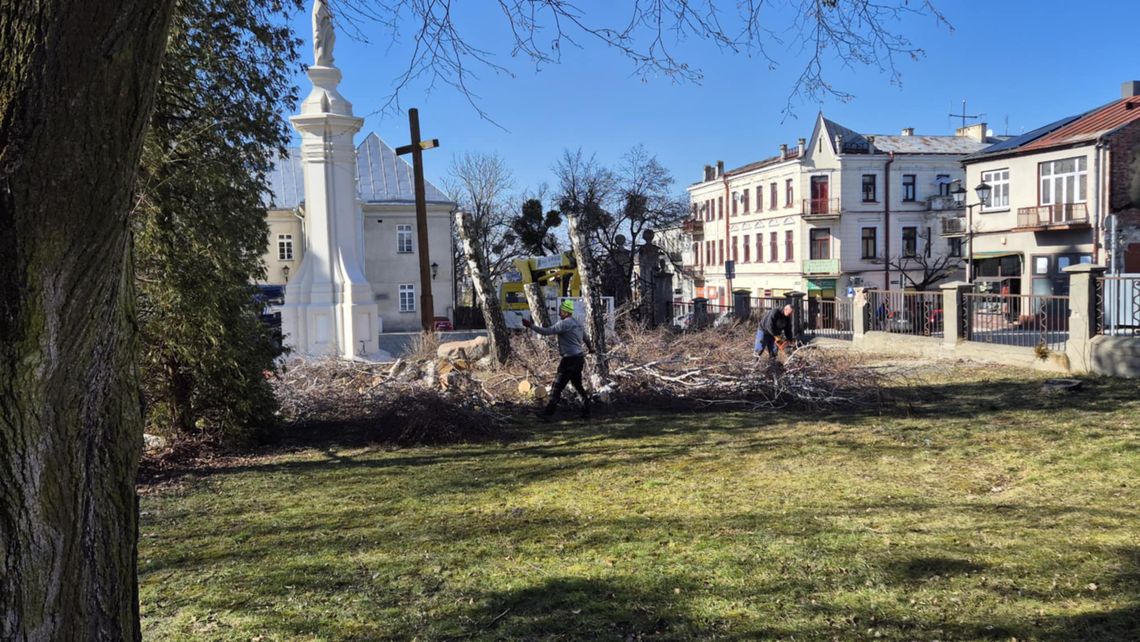 Chełm. Kontrowersje wokół wycinki drzew na terenie parafii pw. Rozesłania Świętych Apostołów