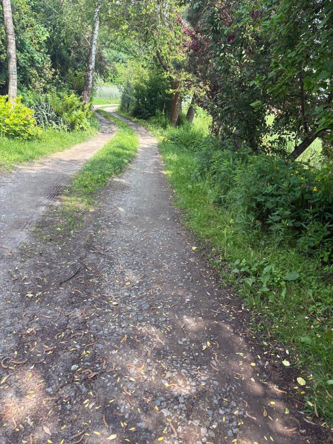 Krasnystaw. Burza wokół ul. Cegielnianej. Mieszkanka oskarża, burmistrz odpiera zarzuty