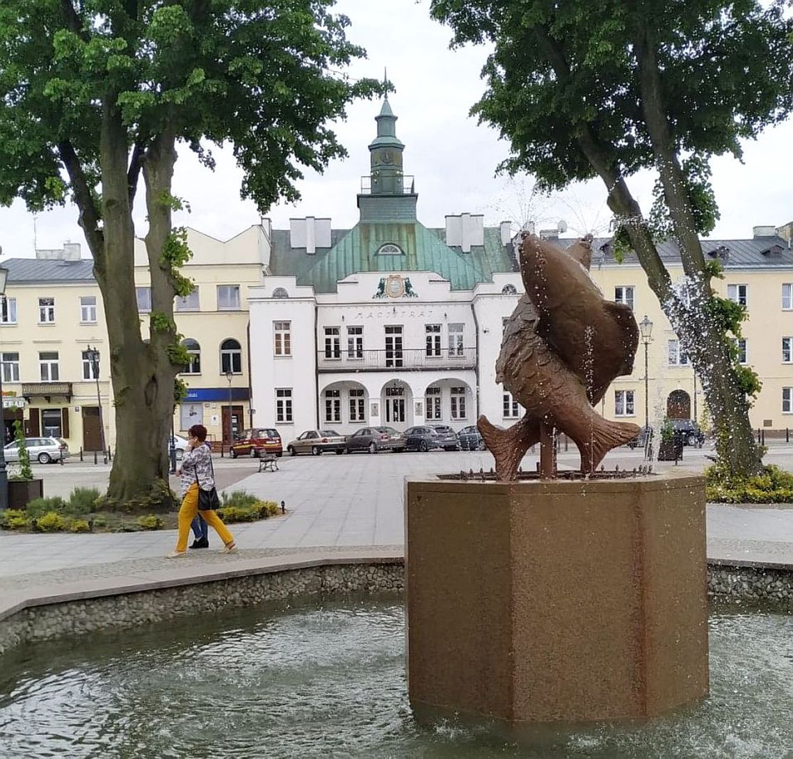 Krasnystaw. Chmielakowy rozkład jazdy i parkingów [WYKAZ]