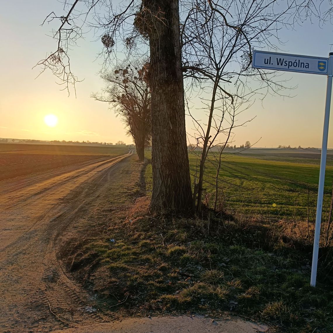 Krasnystaw. Co dalej z przebudową ulicy Wspólnej? Krasnystaw. Co dalej z przebudową ulicy Wspólnej?