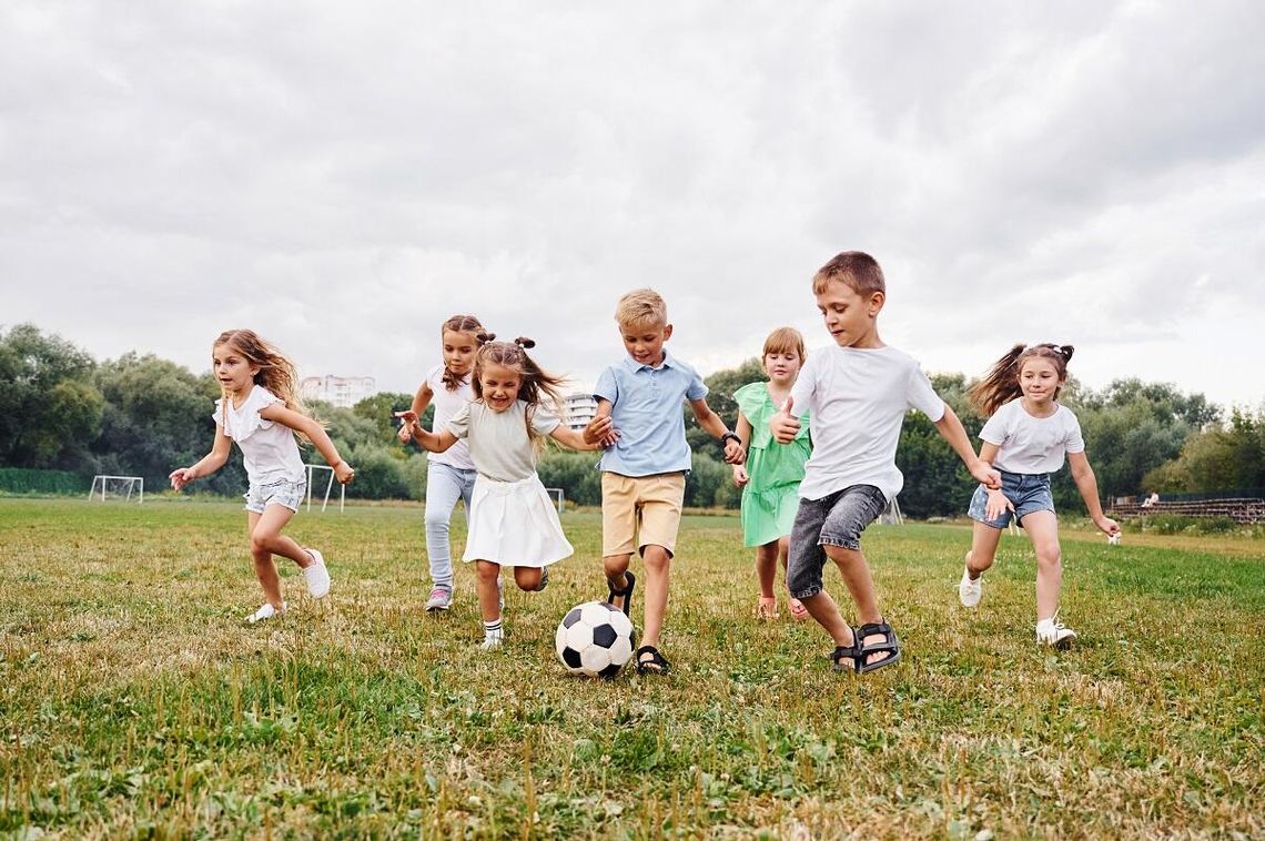 Krasnystaw. Czy boiska przy ulicy Sikorskiego wymagają oczyszczenia?