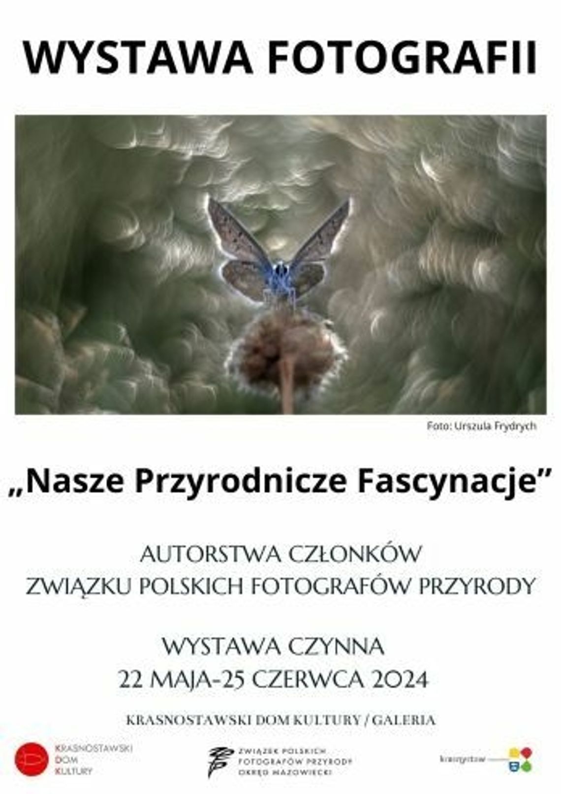 Krasnystaw. Przyrodnicze fascynacje fotografów