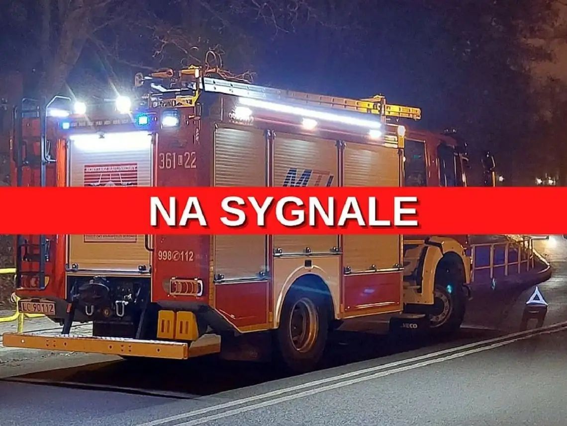 Krasnostawscy strażacy walczyli z żywiołem i ratowali chorego pod respiratorem