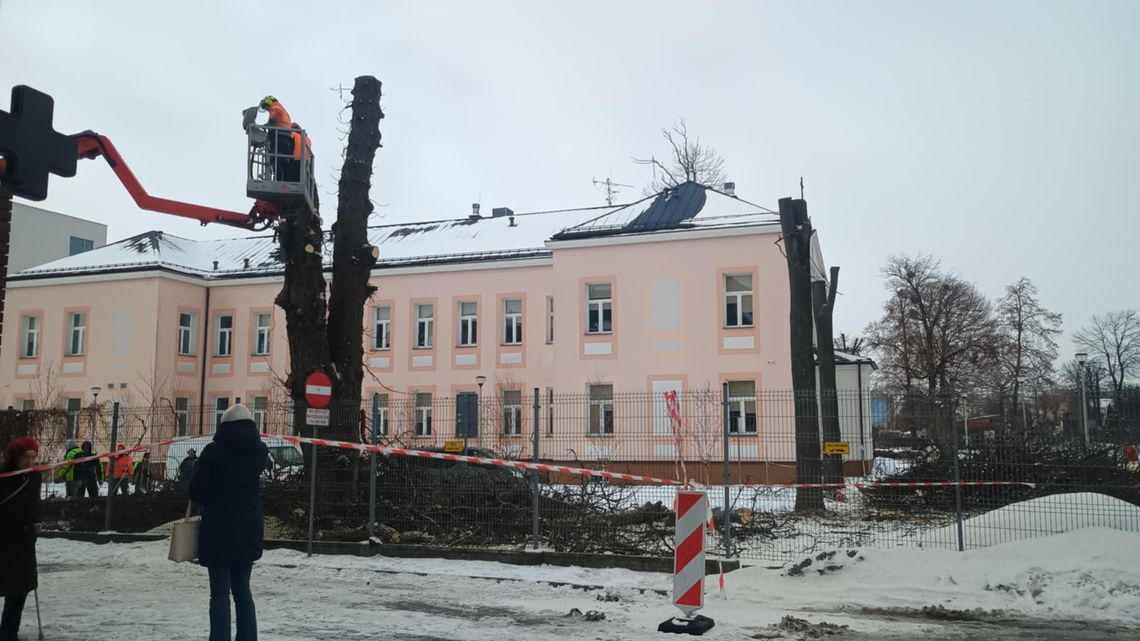 Krasnystaw. Wycinają drzewa przy ZOL-u. Powstanie lądowisko Krasnystaw. Wycinają drzewa przy ZOL-u. Powstanie lądowisko