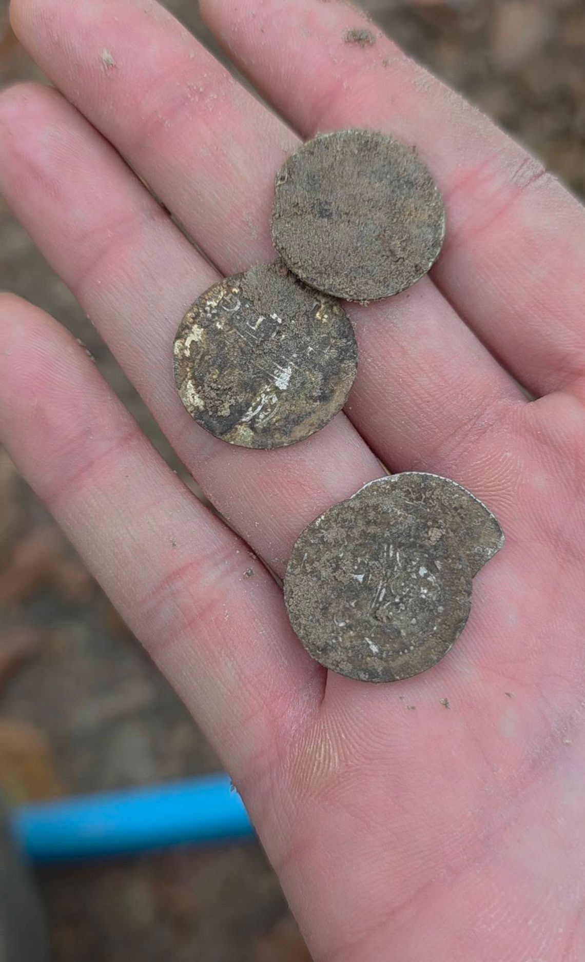 Podczas jednego z wyjść natrafili na cztery srebrne monety z czasów Zygmunta III Wazy. To grosze wybite w 1610 roku.