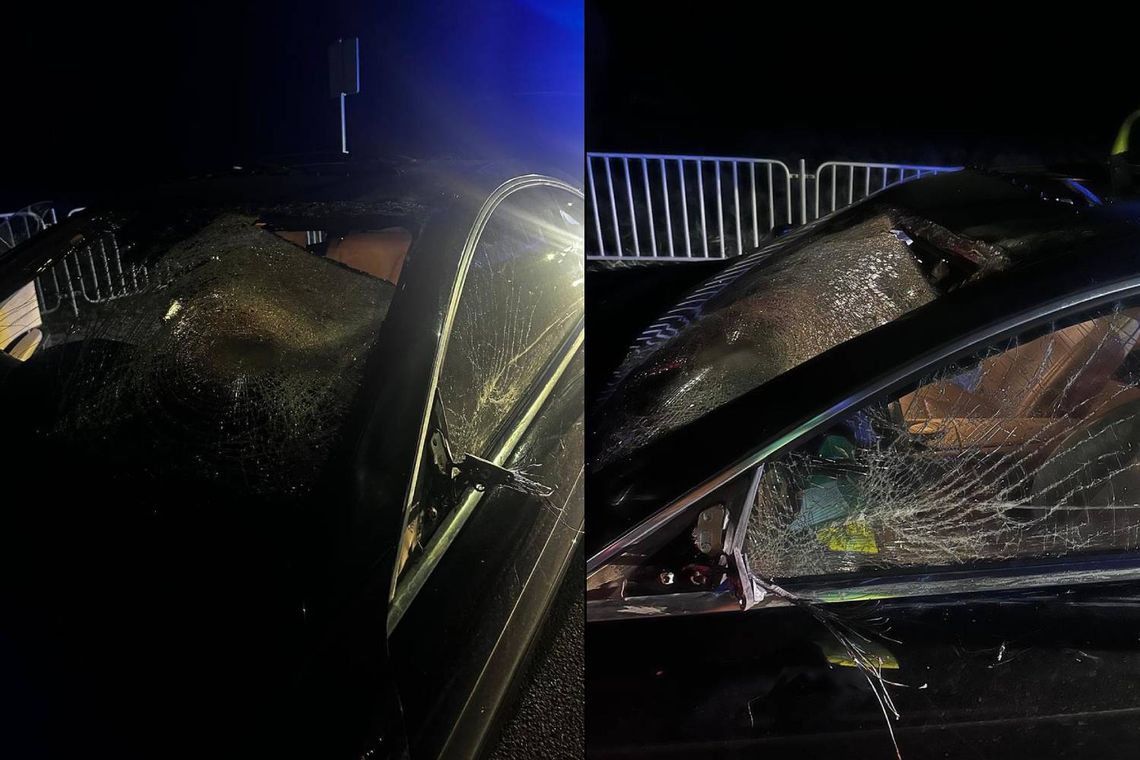 Łopiennik Górny. Wybiegł przed maskę mercedesa i zginął