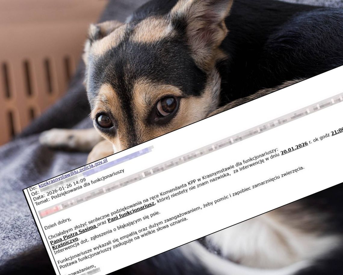 Mieszkanka powiatu krasnostawskiego dziękuje policjantom za uratowanie psa