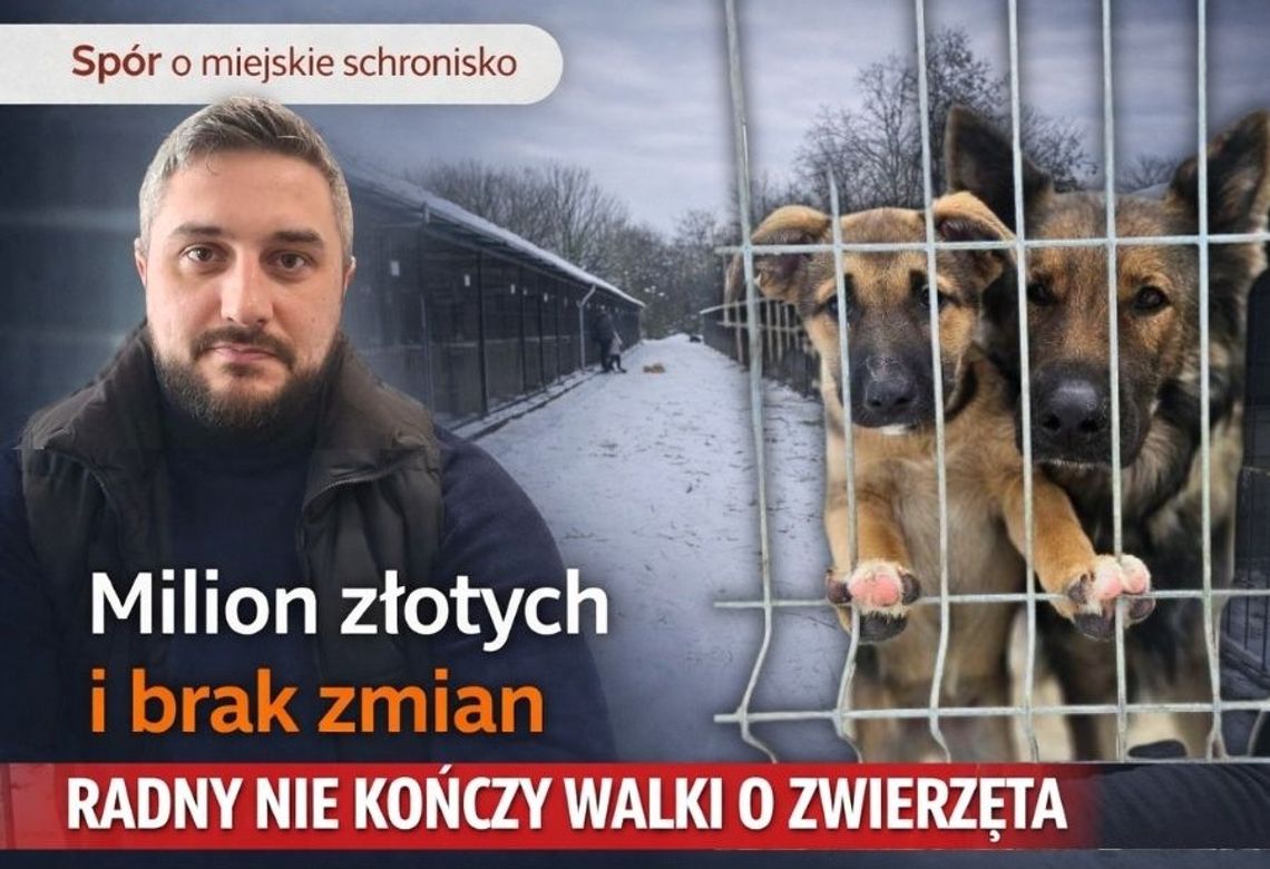 Milion złotych i brak zmian. Radny alarmuje po decyzji Rady Miasta Chełm w sprawie schroniska