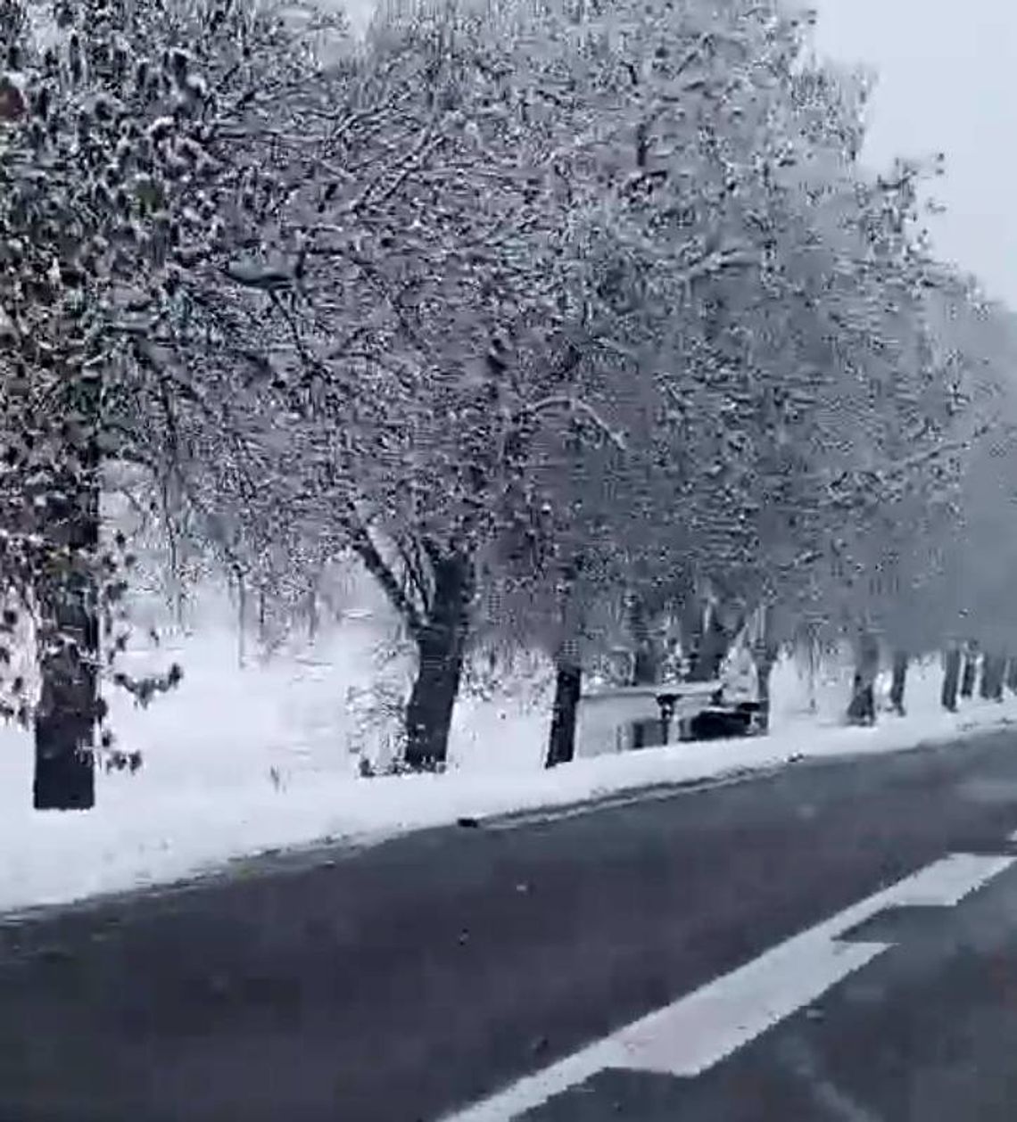 Młody ukraiński kierowca przewrócił dostawczy pojazd w rowie Kierowca dostawczego renault, 22-letni obywatel Ukrainy, nie dostosował prędkości do panujących warunków i wpadł do rowu, przewracając pojazd.
