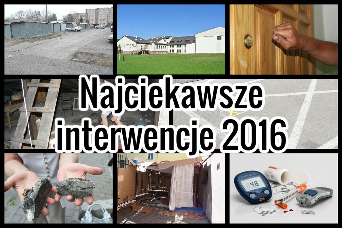 Najciekawsze interwencje minionego roku