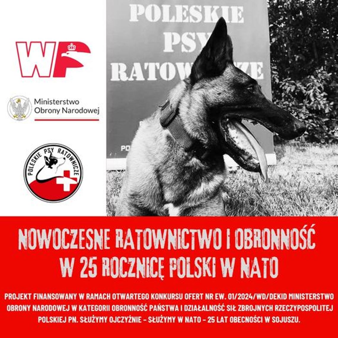 Włodawa. Poleskie Psy Ratownicze zapraszają na szkolenia