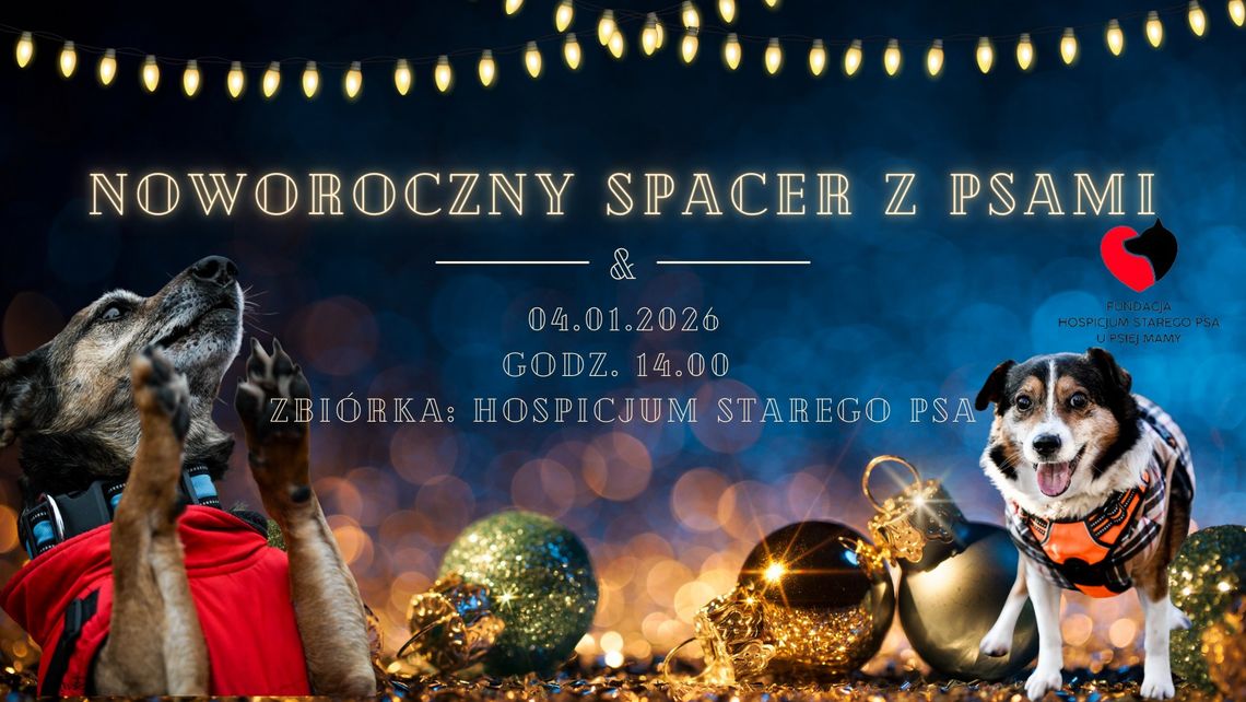 Noworoczny spacer z psami w Chełmie - zaprasza Fundacja Hospicjum Starego Psa u Psiej Mamy