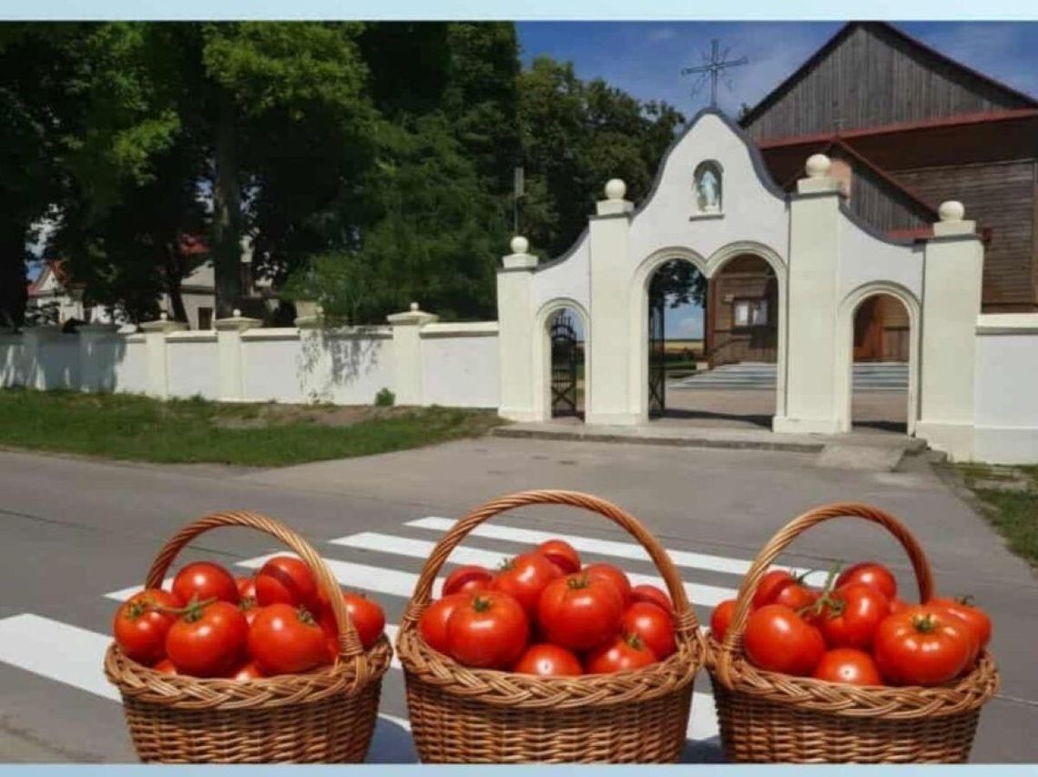 KRAJ. Ogłosili samozbiory, a teraz zapłacą VAT?! Rolnicy zapowiadają, że za rok zaorają pola
