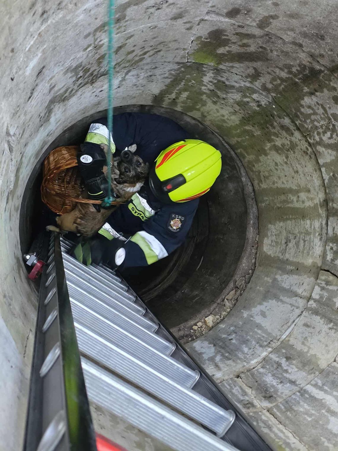 Pies utknął 9 metrów pod ziemią – strażacy z Urszulina ruszyli na pomoc