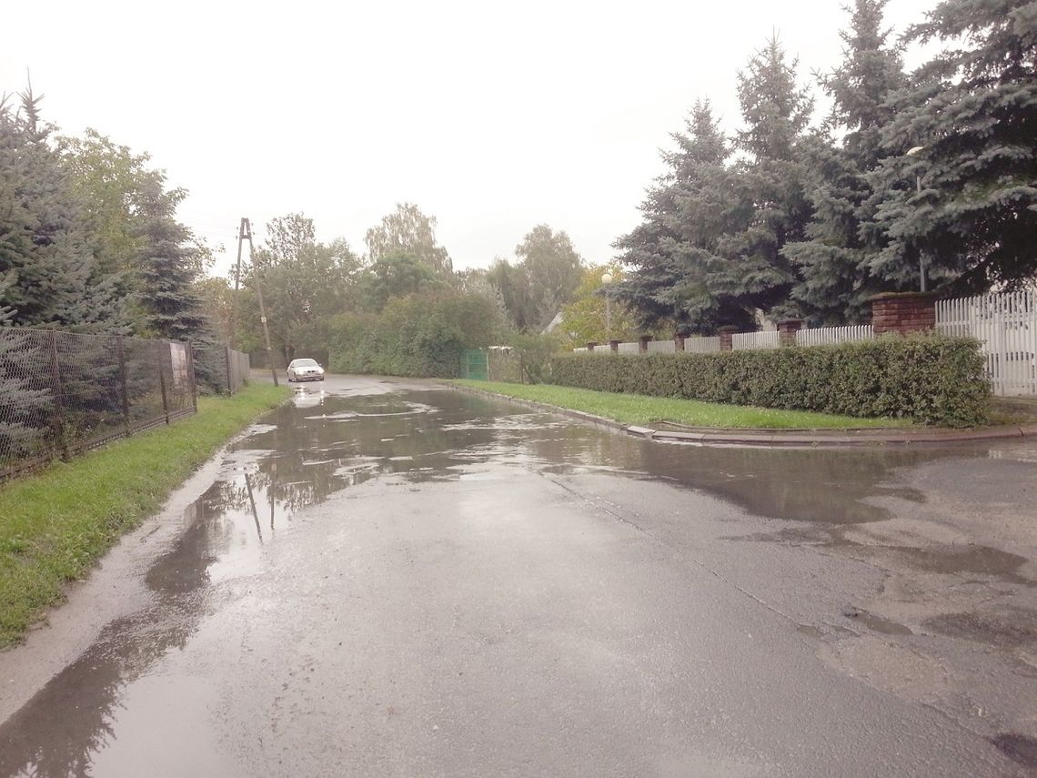 Piwna tonie Piwna tonie