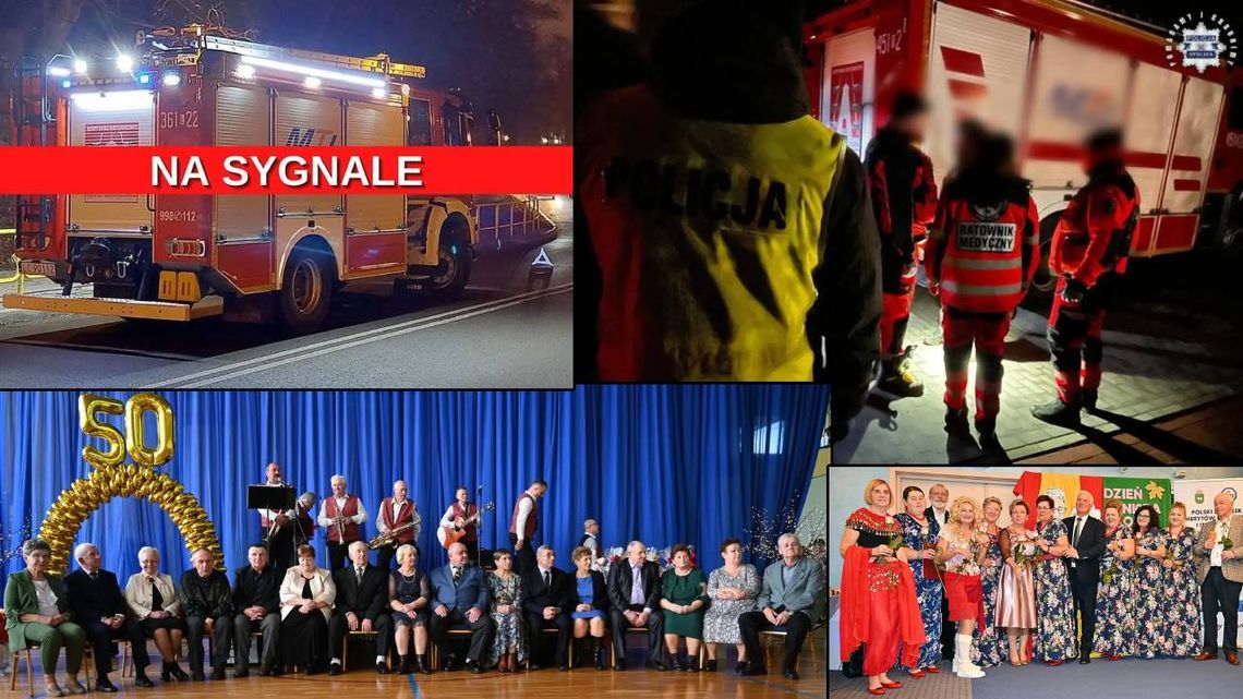 PODSUMOWANIE DNIA. Przegląd informacji z 25 listopada 2024. Chełm, Krasnystaw, Włodawa PODSUMOWANIE DNIA. Przegląd informacji z 25 listopada 2024. Chełm, Krasnystaw, Włodawa