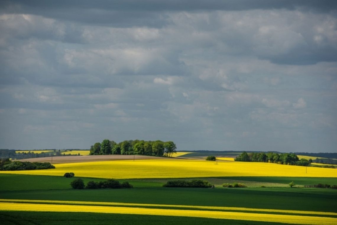 Połączenie kolejowe Chełm-Włodawa dostępne po raz ostatni!