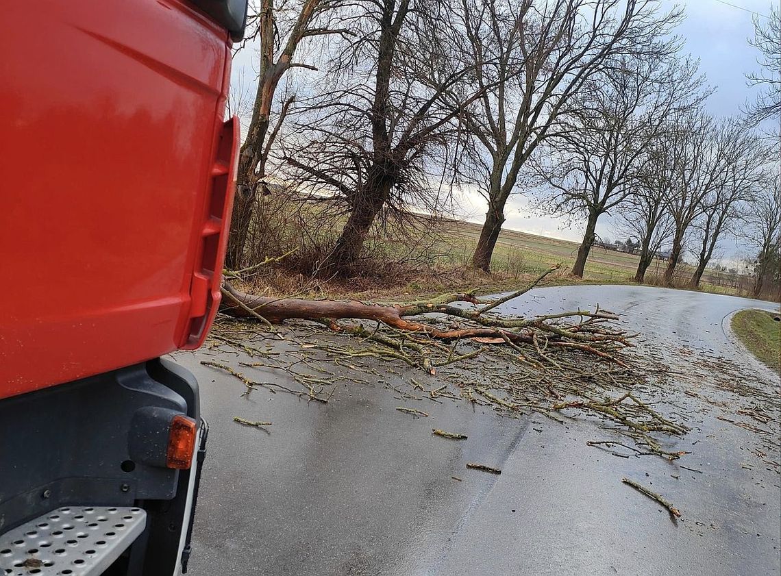 Połamane drzewa, uszkodzone dachy. Kolejny dzień wichur w naszym regionie