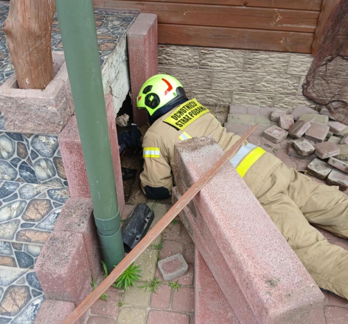 Pow. chełmski. Gniazdo węży pod schodami, altana w płomieniach