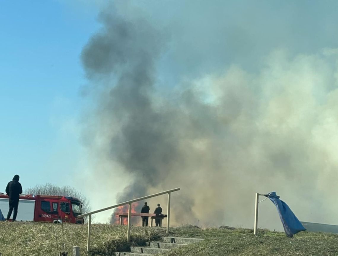 Pow. chełmski. Wypalanie traw nie ustaje - spłonęło 6 ha nieużytków!