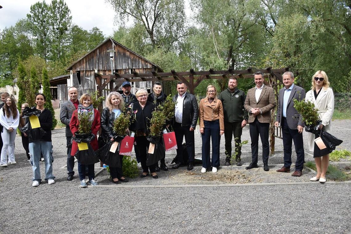 Pow. krasnostawski. Zielona lekcja w sercu Kraszczad – buki rozdane