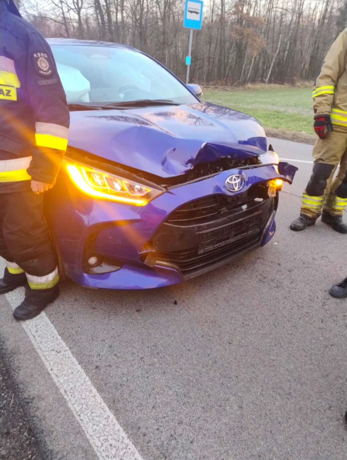 Pow. włodawski. Dwie sarny wyskoczyły przed maskę