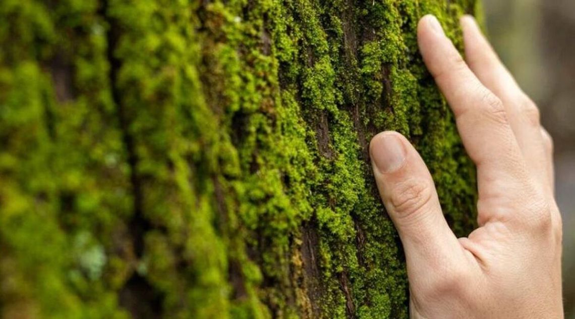 Dyskusja o utworzeniu Sobiborskiego Parku Narodowego nabiera tempa.